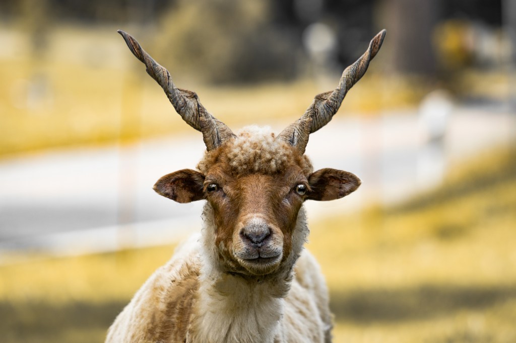 Unser Security stellt sich vor